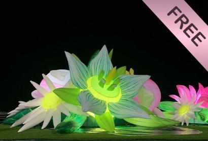The LOST exhibition features larger than life illuminated sculptures.