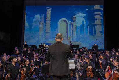 An orchestra in action. 